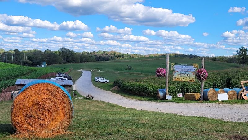Arrowhead Orchard: Make Room for Adventure in Paris
