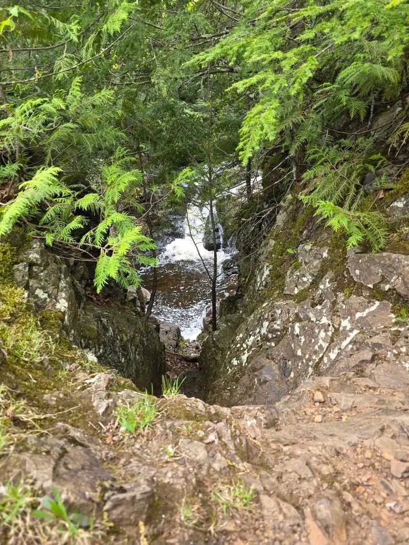 No Sign, No Gate, Just A Worn Path Into The Trees