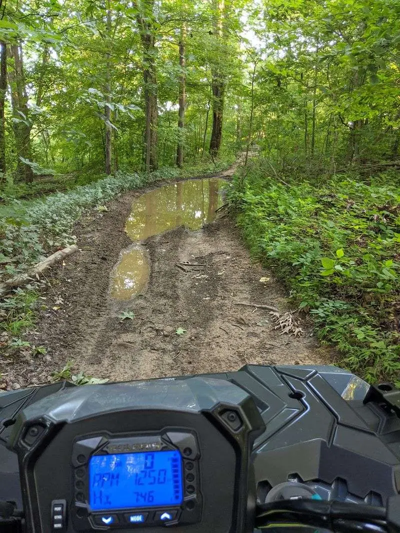 Mud That Changes the Whole Conversation