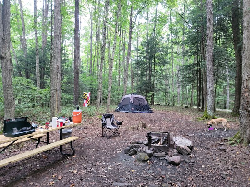 Primitive Campsites Make Bedtime Under the Stars Easy