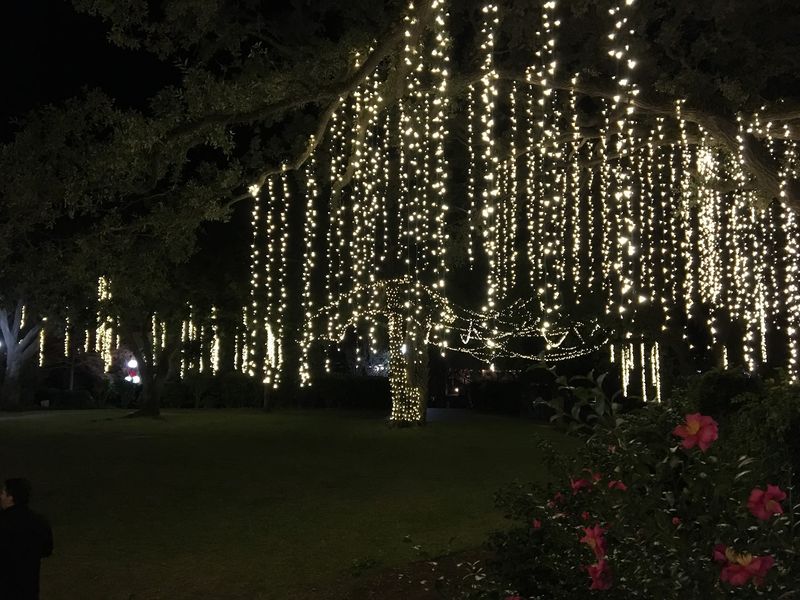 Over 100,000 Lights Shine At Santa Land