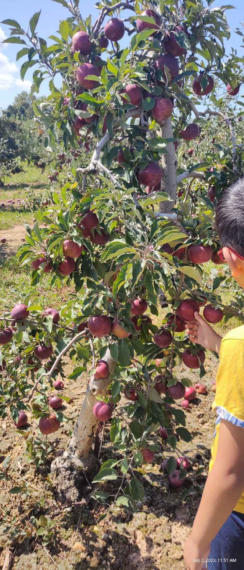 Milburn Orchards