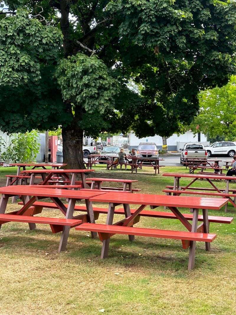 Picnic Tables And A Little Park Under Old Trees