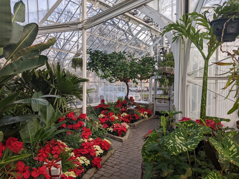 Why This Glass Jungle Deserves A Spot On Your Rainy-Day List