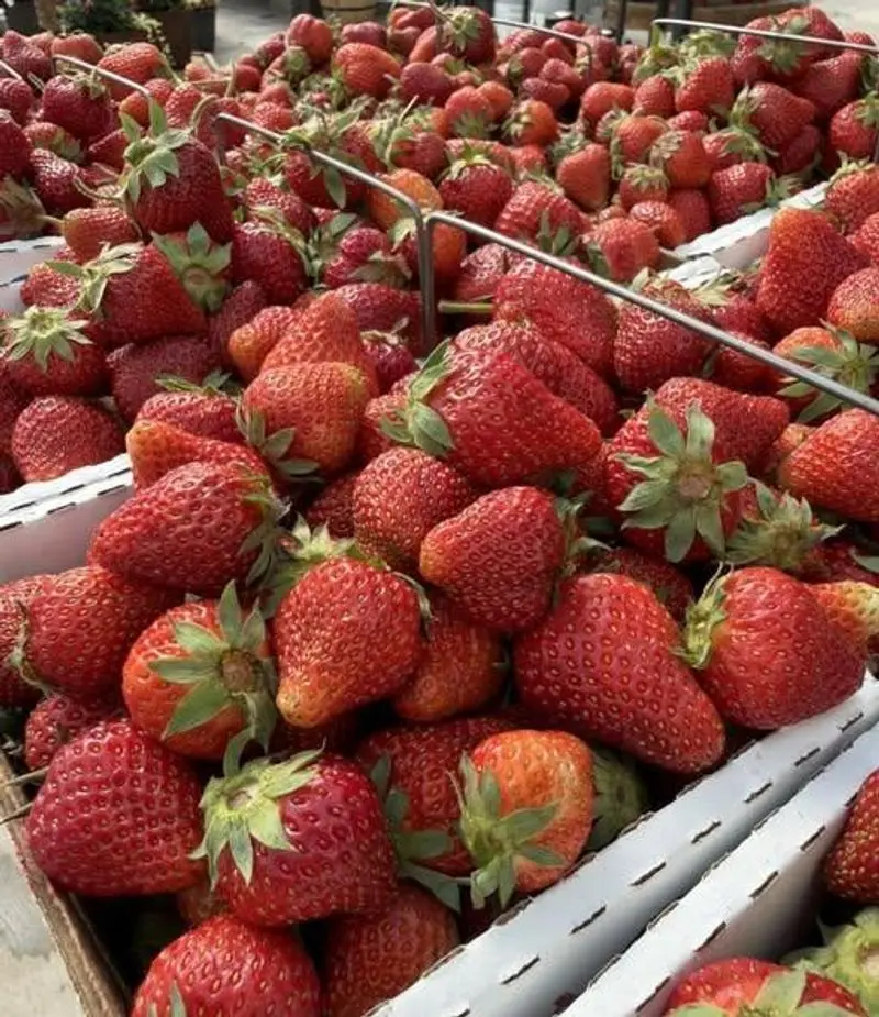 Why This Shelby County Farm Earns A Spot On Your Calendar