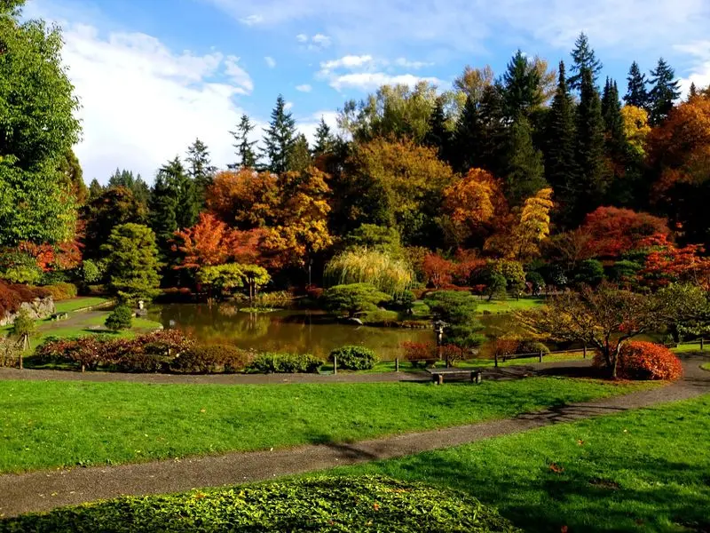 Why This Free Seattle Escape Earns A Spot On Your Calendar