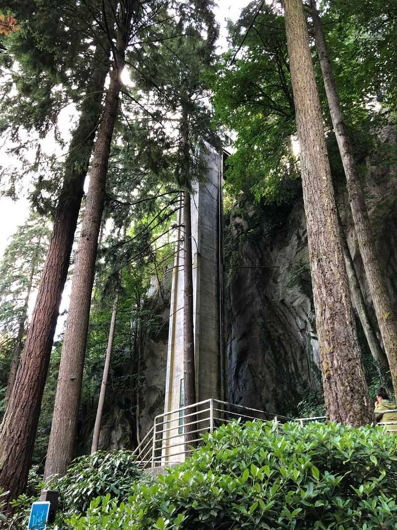 Why This Peaceful Cliff Deserves A Spot On Your Family Calendar