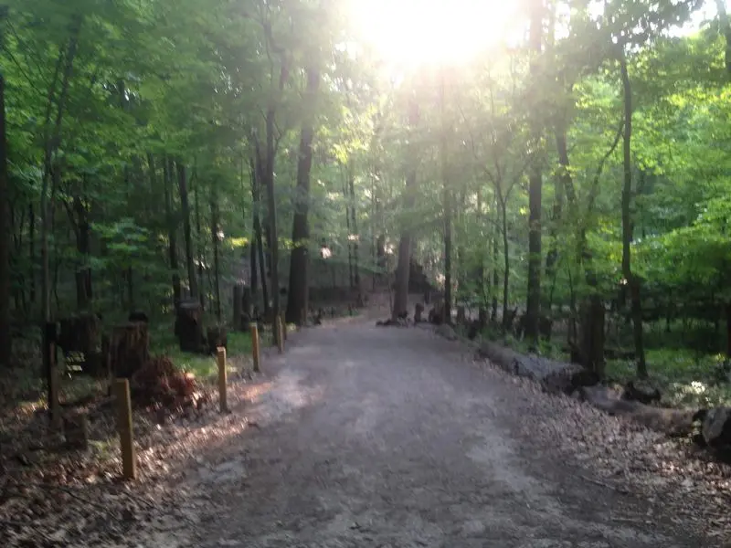 A Weekend Walk Worth Turning Into Tradition