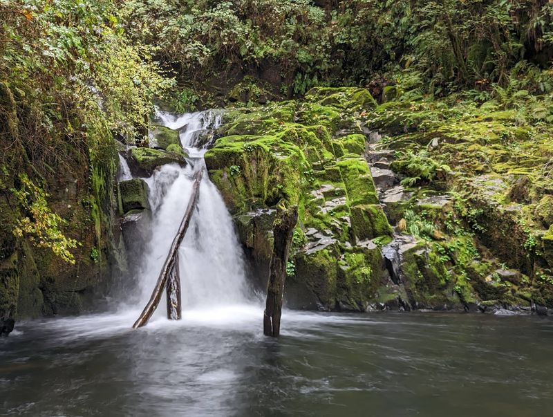 The Verdict On This Free Creekside Escape