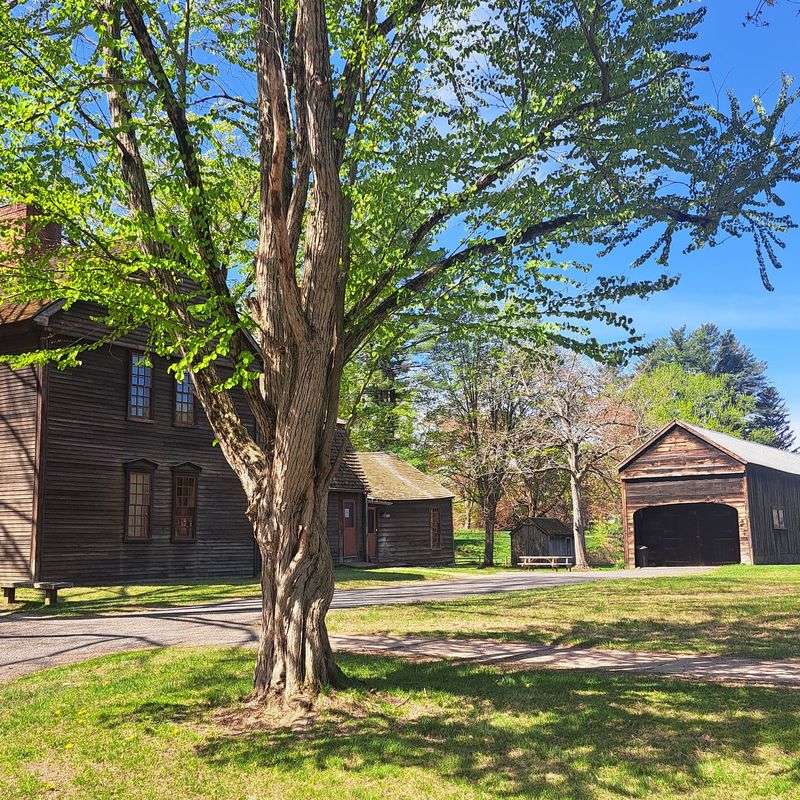 Wells-Thorn House and the Changing Home