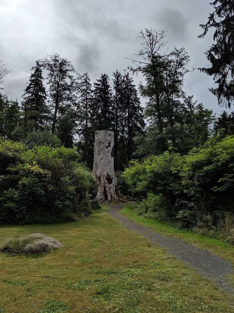 A Small Detour With A Supersized Payoff