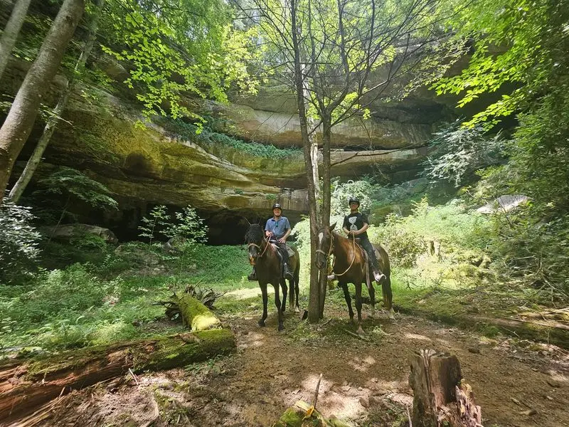 Why This Ride Deserves A Spot On Your Kentucky List