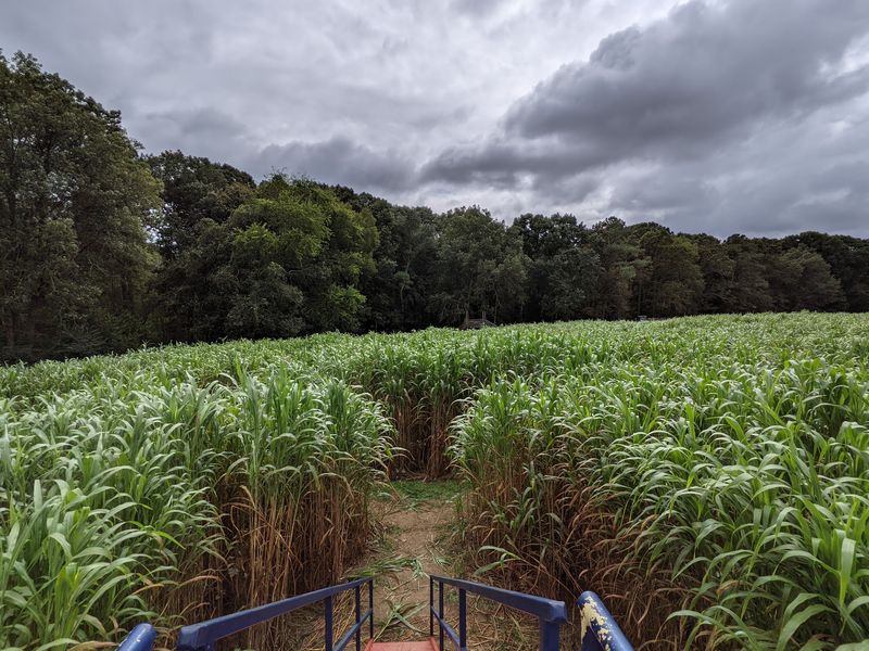 Naylor Family Farm & Corn Maze
