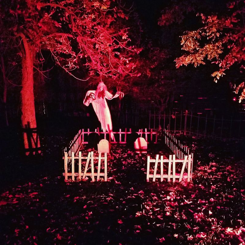 Demon House