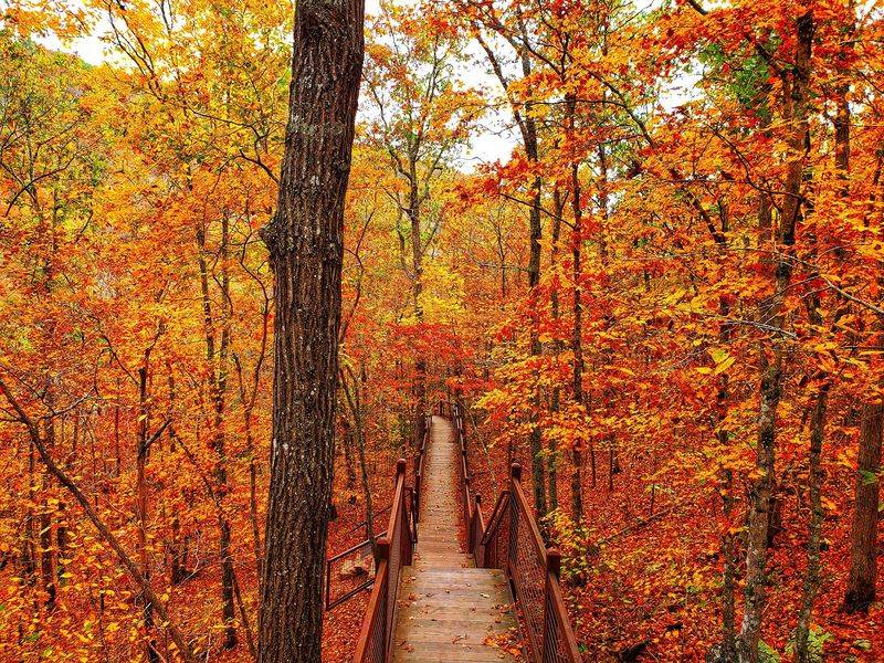 Plan Your Drive Around The Seasons And The Crowds
