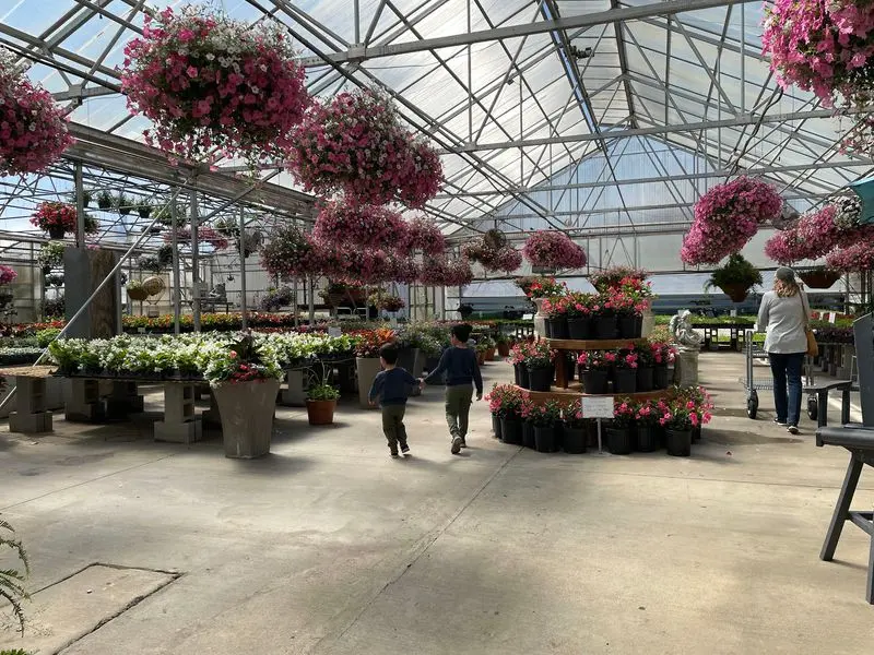 Nine Greenhouses Full Of Blooms You May Need A Truck For