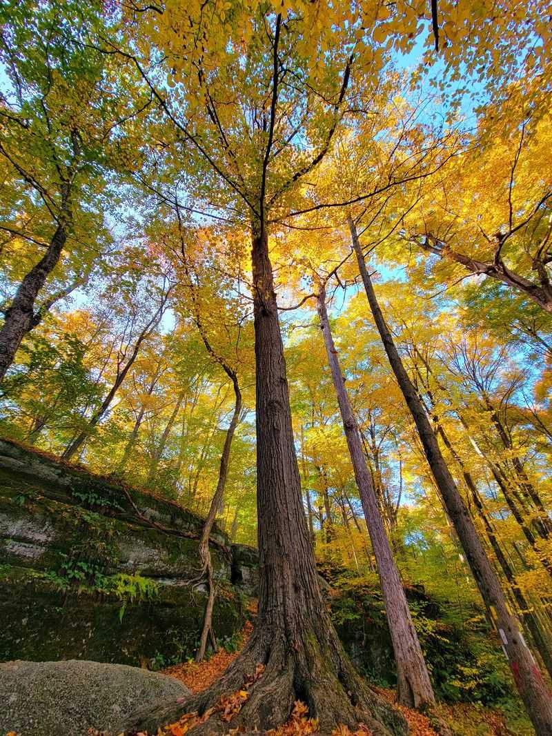Nelson-Kennedy Ledges State Park: Color Between the Rocks