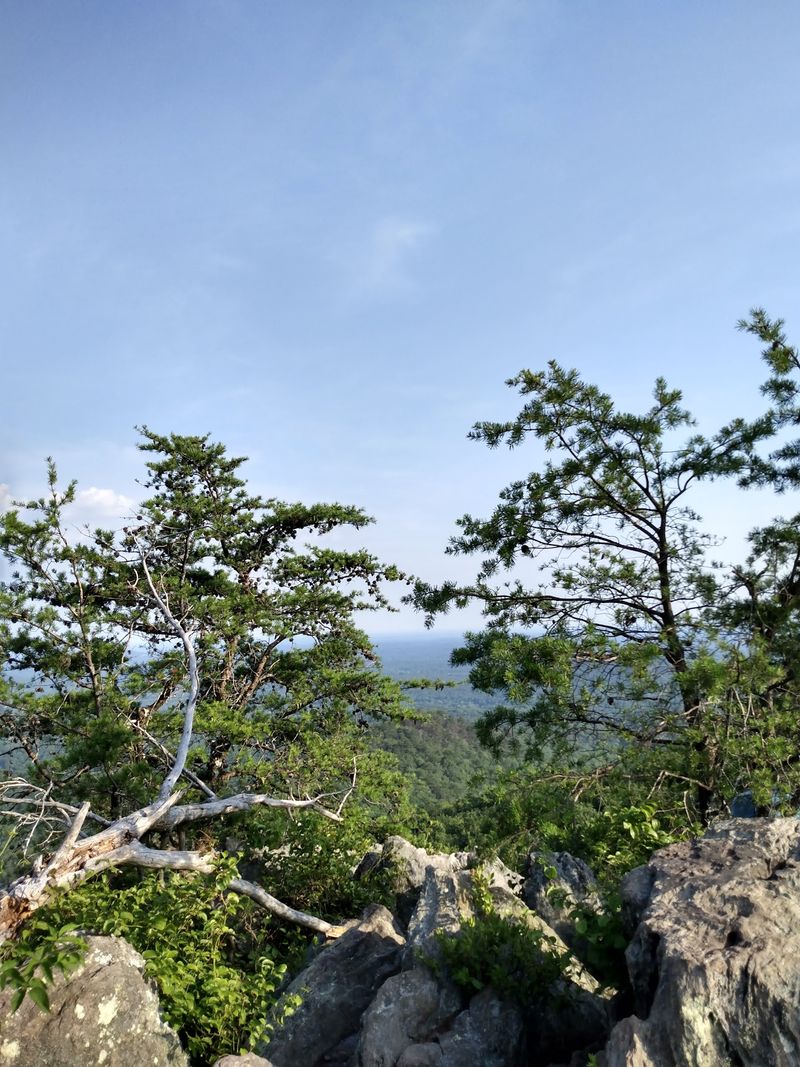 Kings Pinnacle Trail at Crowders Mountain State Park - Kings Mountain, Gaston County,