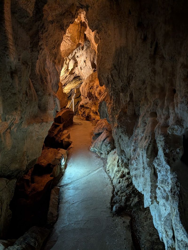 Ninety Minutes Underground Somehow Flies By