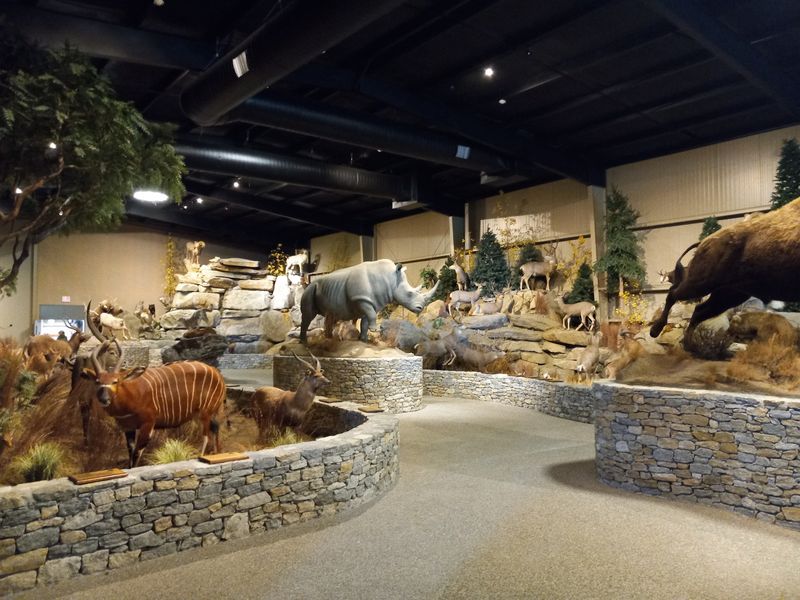Rainy Day? The Museum Has Your Back
