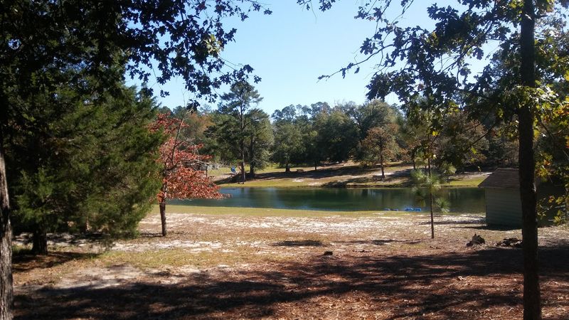 Cool Off In A Spring-Fed Swimming Spot When Summer Hits