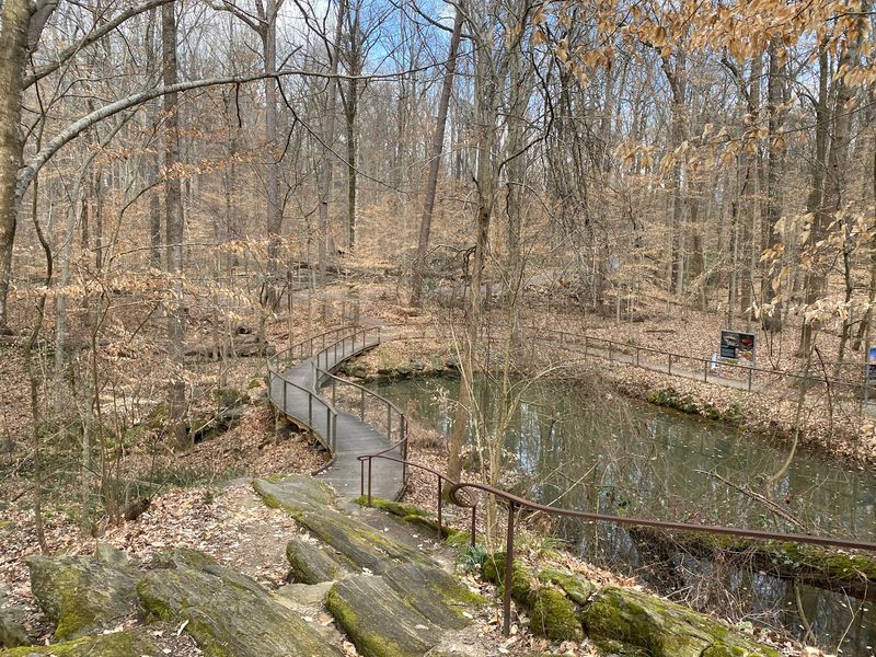 Huntemann Pond Is Where The Frogs Run The Show