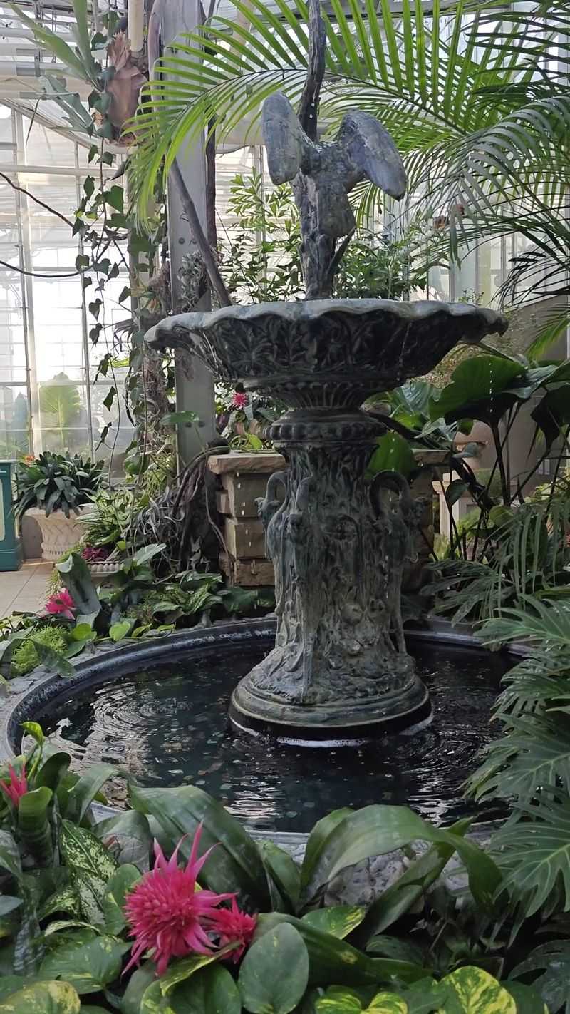 Bug-Eating Plants And Giant Cacti Steal The Indoor Spotlight