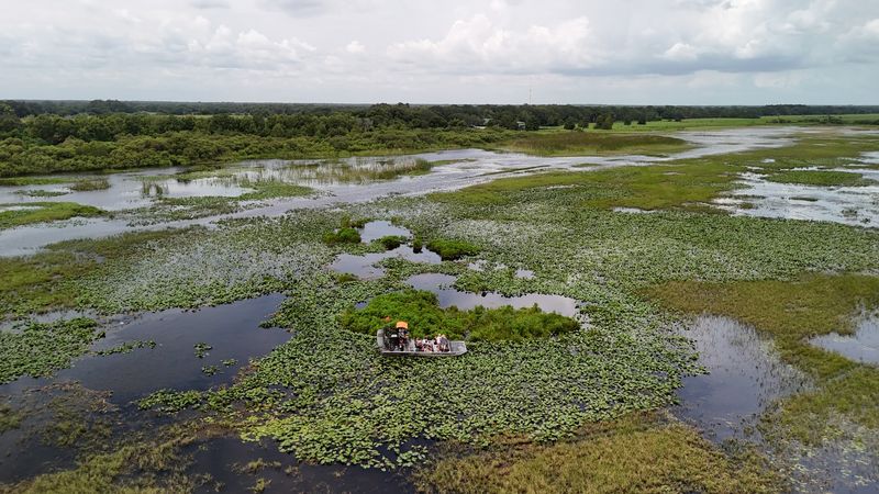 The Airboat Ride Is Loud, Fast, And Full Of Gator Spotting