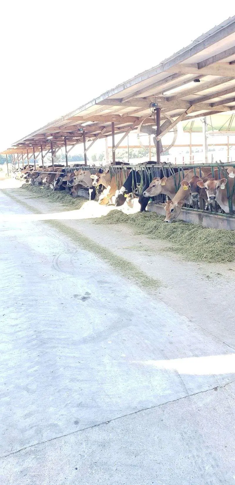 Why A Bottle Of Kentucky Milk Is Worth The Trip