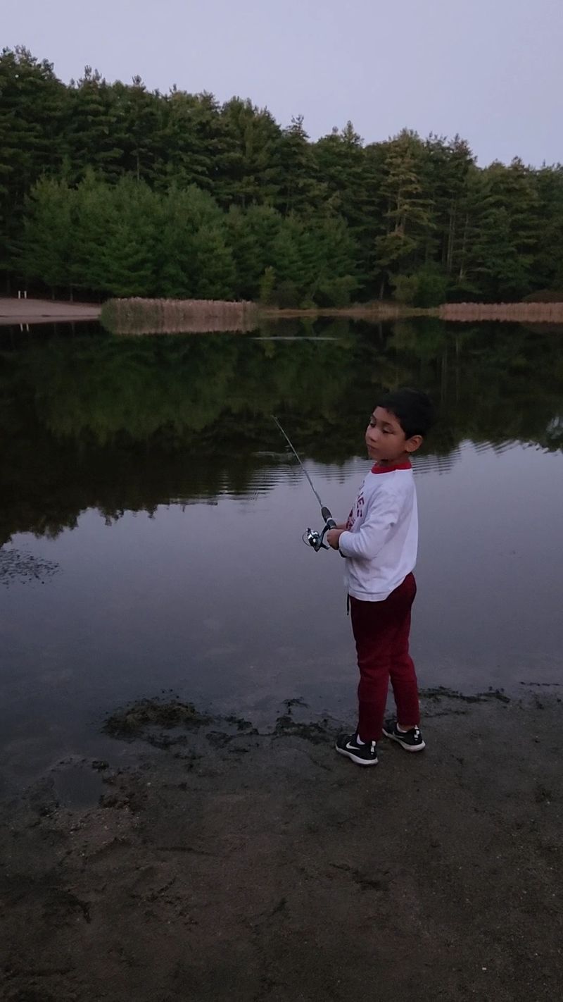 Try the Brook for a Different Kind of Fall Fishing