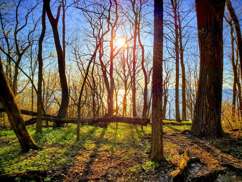 High Cliff State Park: Follow the Ledge Above Lake Winnebago