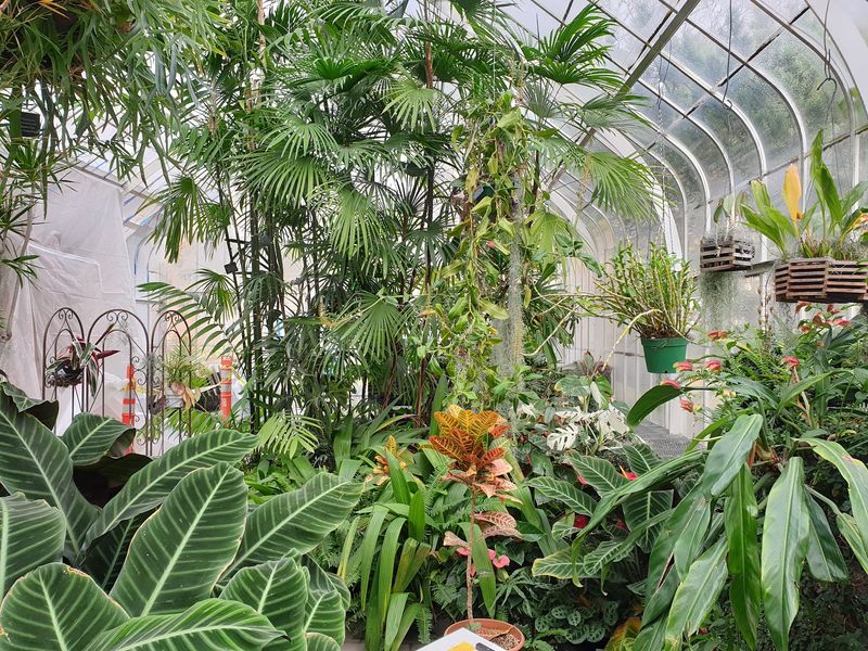 Over 500 Plant Species From Jungle To Desert