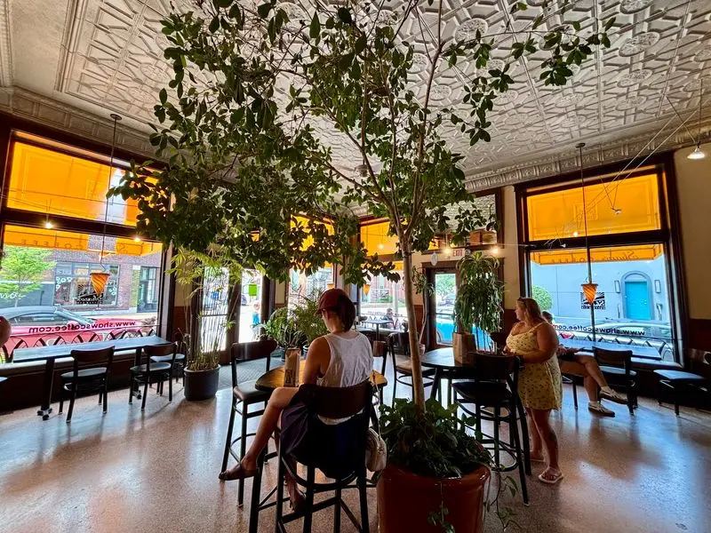 Sunny Windows And Indoor Trees Make Lingering Easy