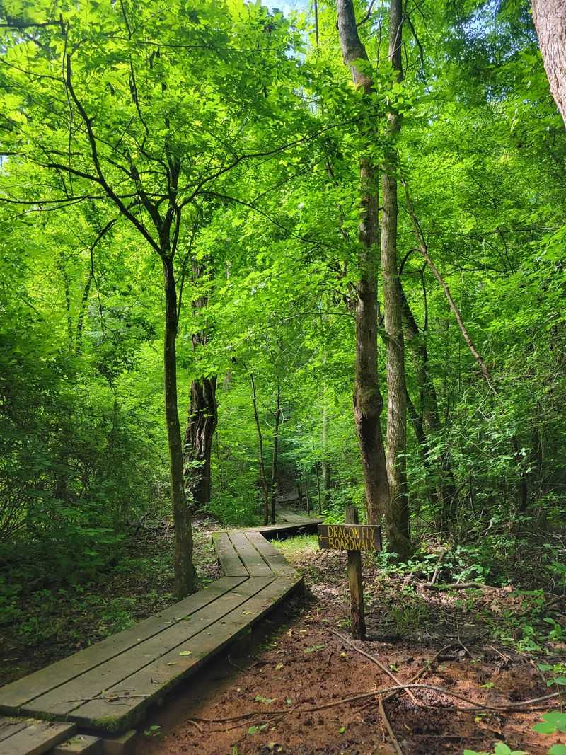 River Woods With a Legendary Twist: Boone's Cave Park - Lexington, Davidson County,