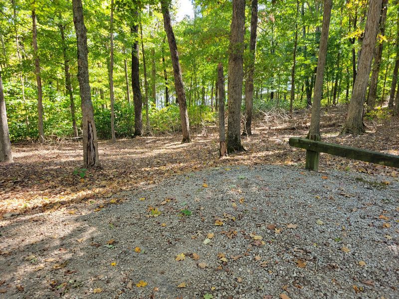 Ridge Campground And Its Rollercoaster Roads