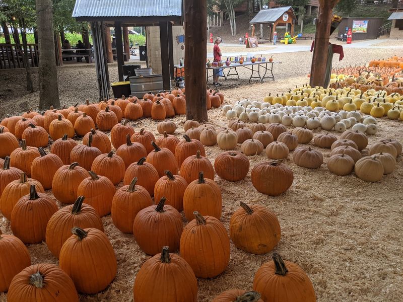 Copper Creek Farm