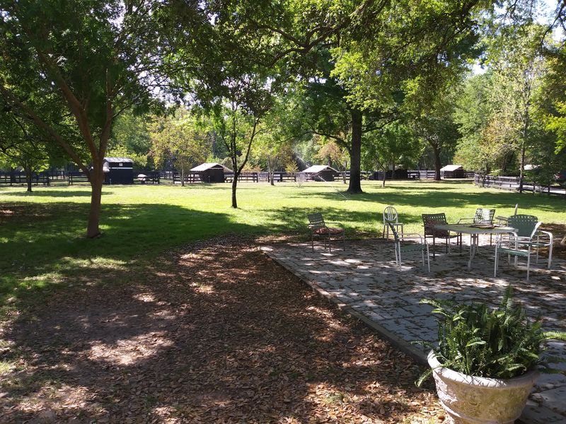 Plan Your Drive Out To The Lowcountry Countryside