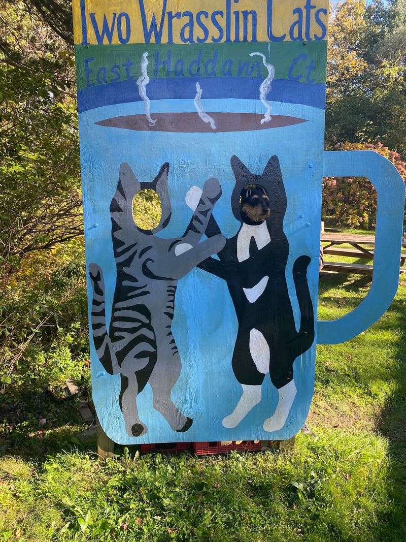 Cat Decor Turns Waiting Into Exploring