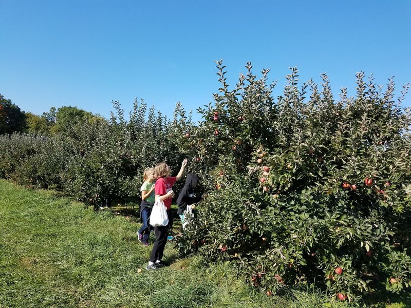 Miller Orchards: Keep It Simple in Amherst