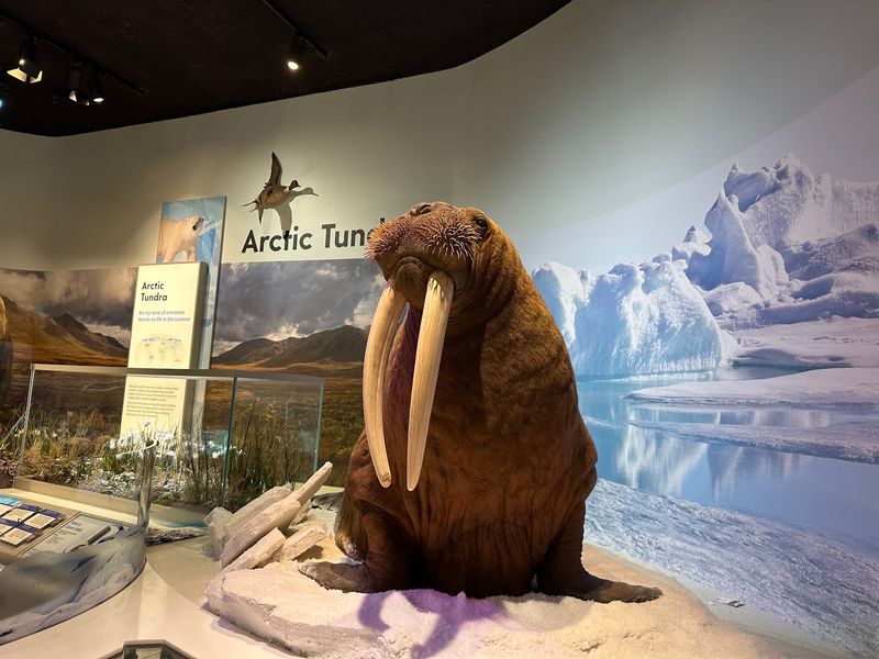 Travel From The Arctic To The Rainforest Without Packing A Bag