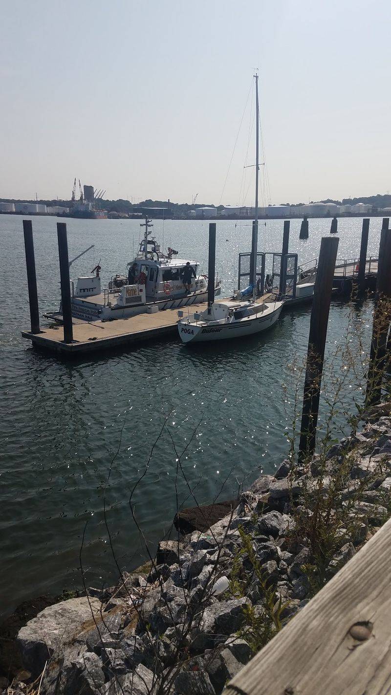 Watch Boats Move Through The Harbor