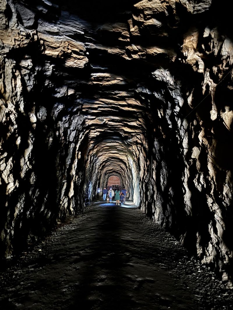 Discover the Tunnel's Unexpected Blue Cheese Connection