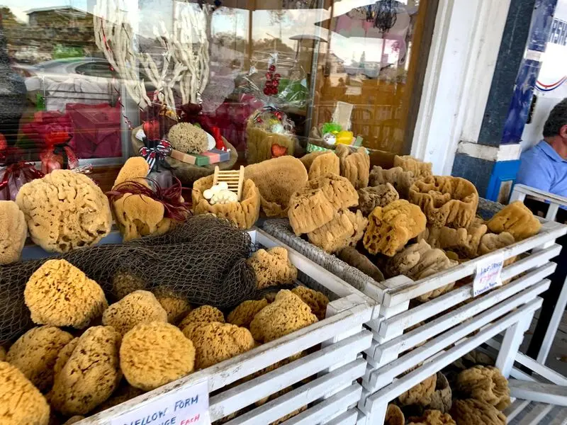 Browse for a Sponge to Take Home