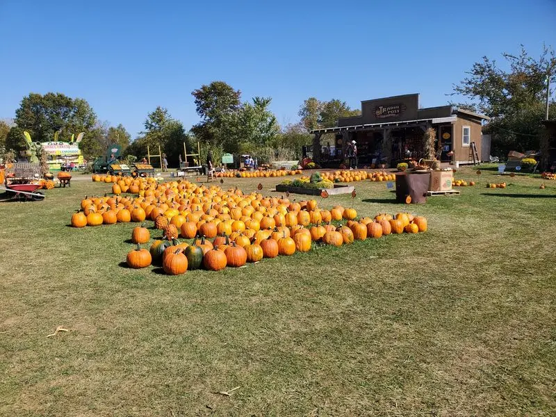 Kingsway Pumpkin Farm & Storage