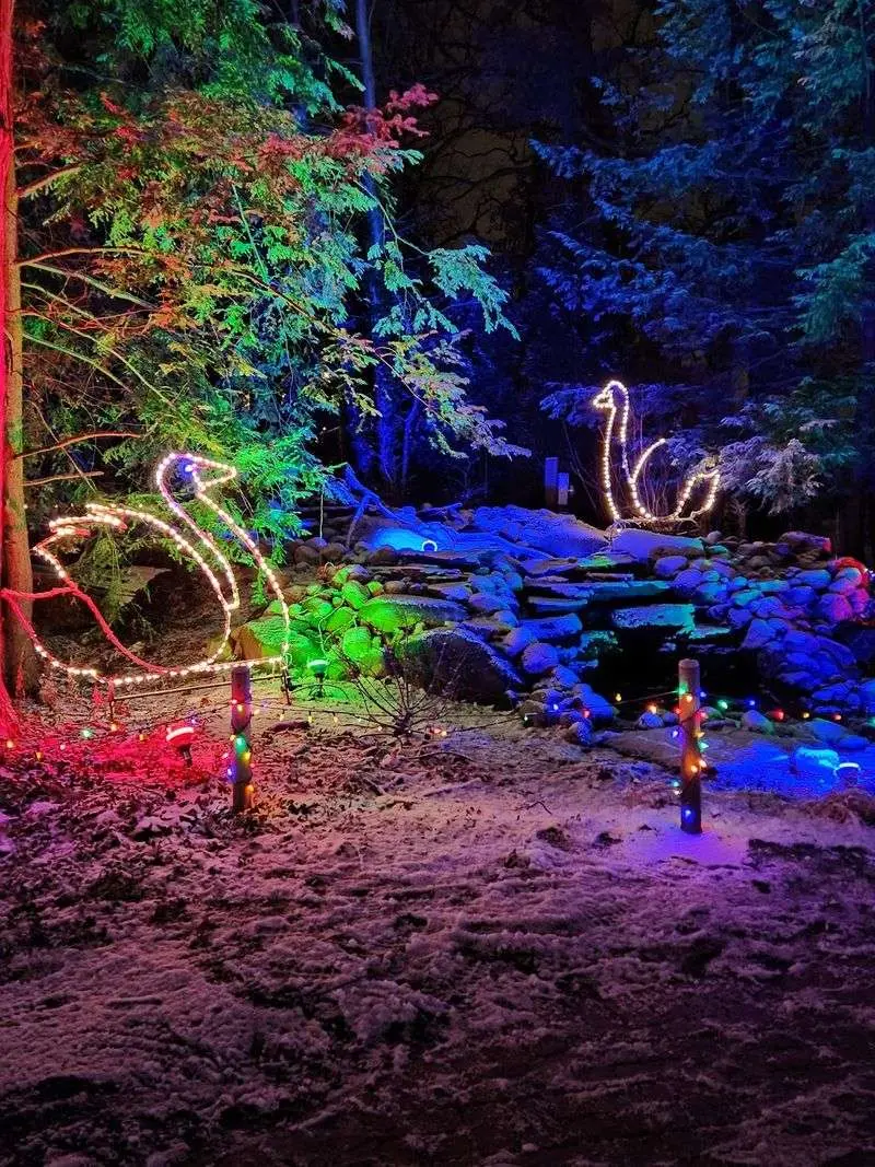 Choose a Return Visit with a Seasonal Twist