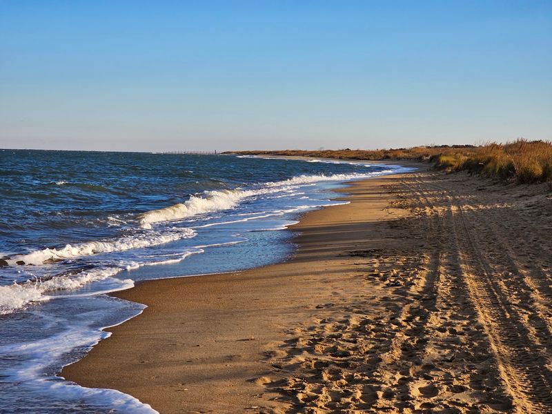 Give Sandy Toes Their Turn