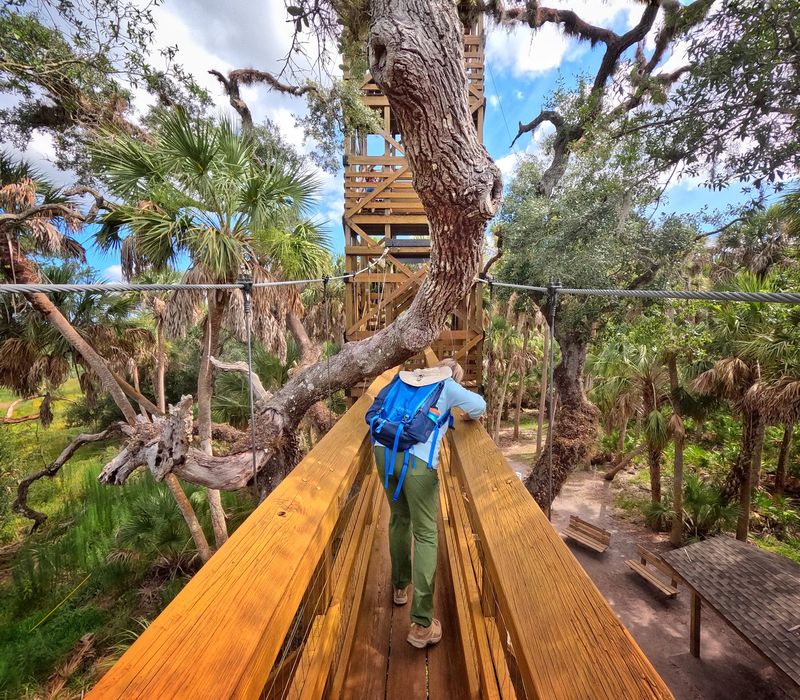 Watch the Wild Side Wake Up: Myakka River State Park - Sarasota, Sarasota County,