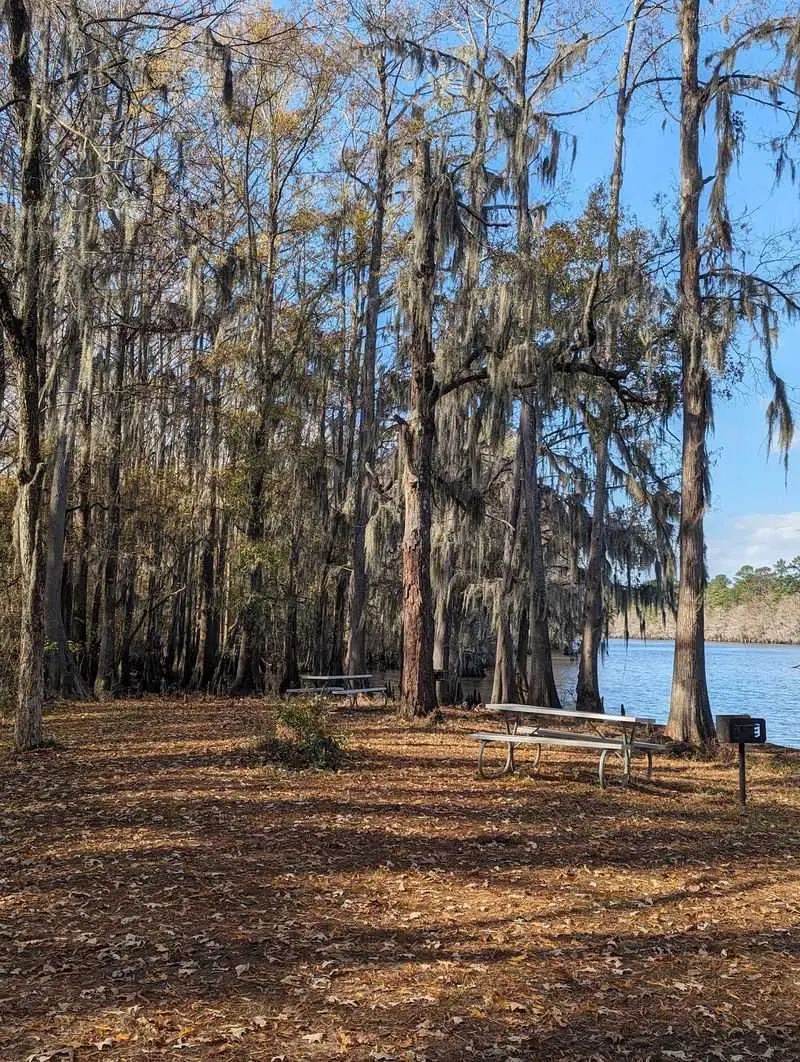 Discover Two Forest Worlds at Caddo Lake State Park