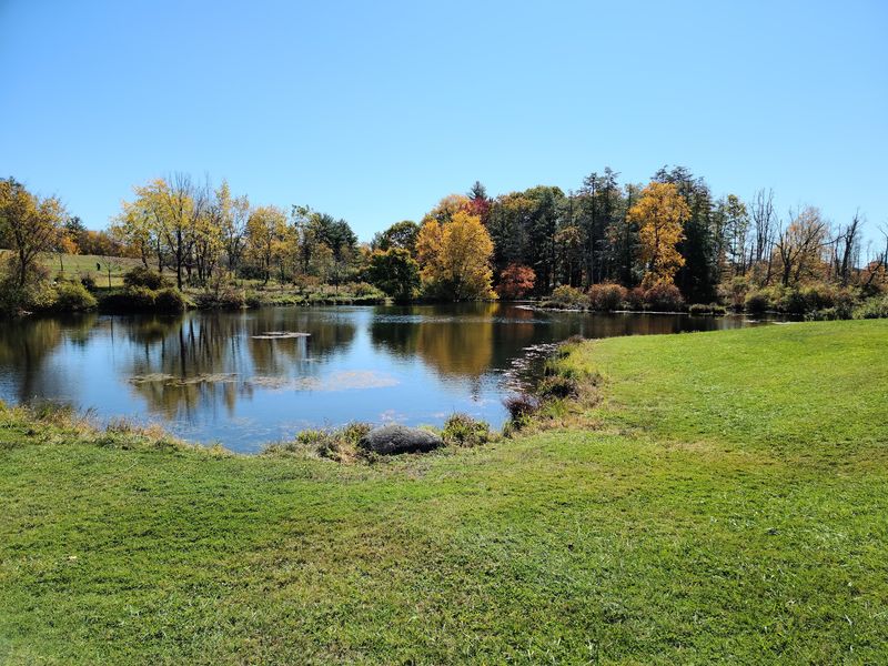 Make Room for a Pondside Pause