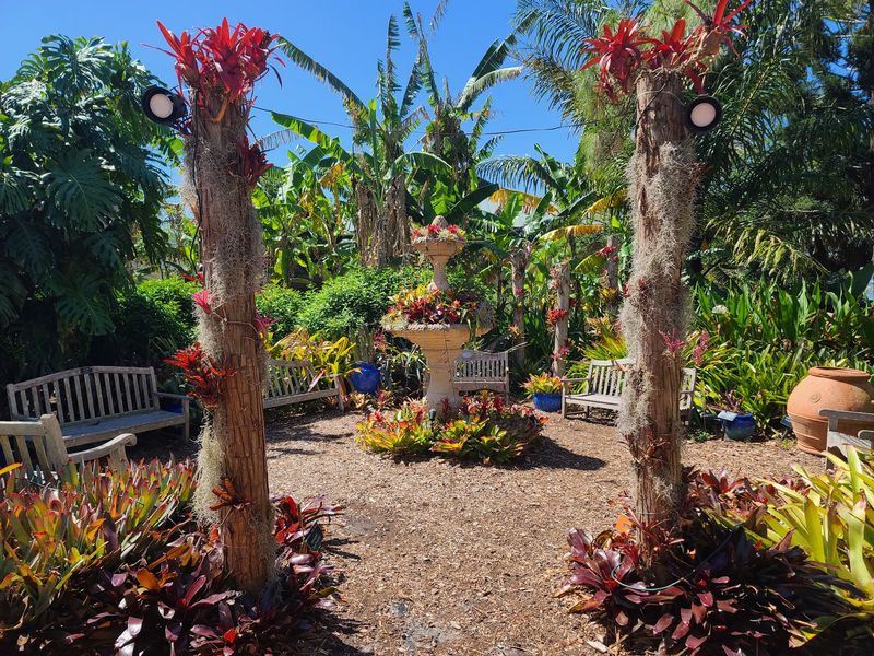 Discover Plants That Live Above the Soil